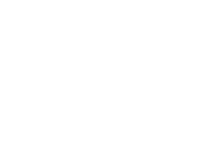 Global Niche Only One
